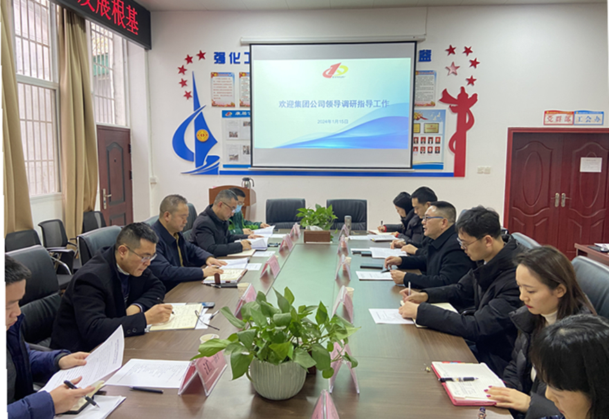 王書記調研康居公司 王書記調研康居公司